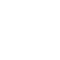 Holográfico